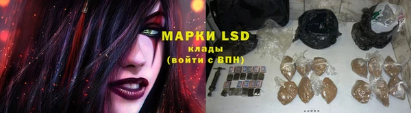 стаф Лабытнанги