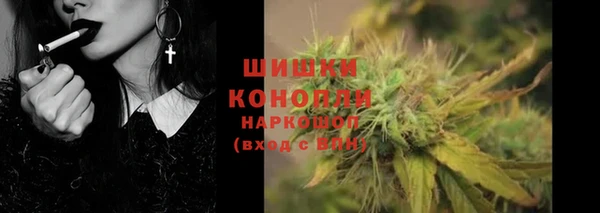 прущие грибы Лагань