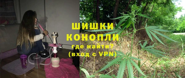 прущие грибы Лагань
