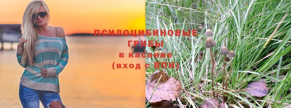 стаф Лабытнанги