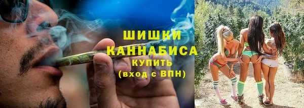 стаф Лабытнанги