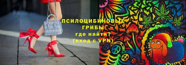 стаф Лабытнанги