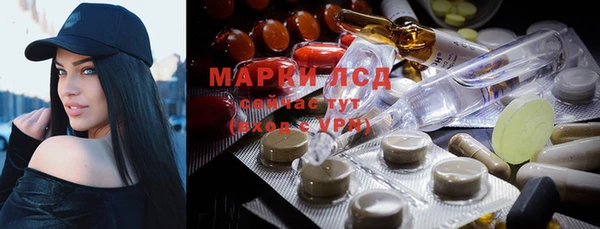 прущие грибы Лагань