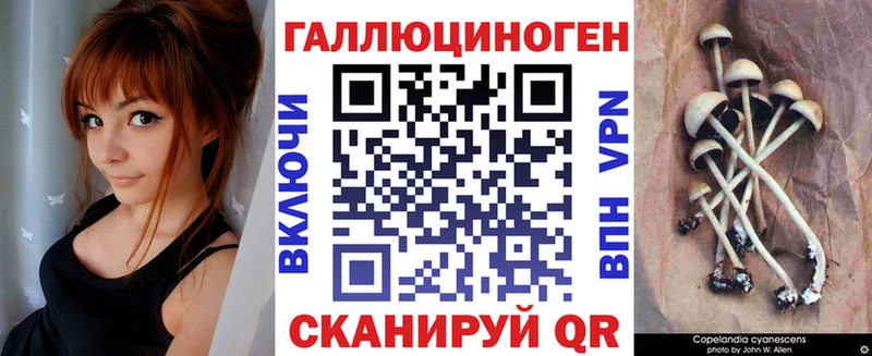 Купить где  Арск  Псилоцибиновые грибы Psilocybe 